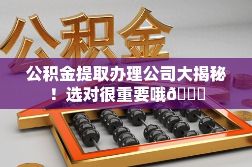 同安公积金提取办理公司大揭秘！选对很重要哦😎